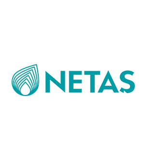 Netaş logosu